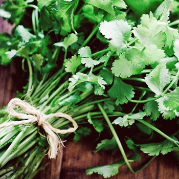 How To Make The Most of Coriander 