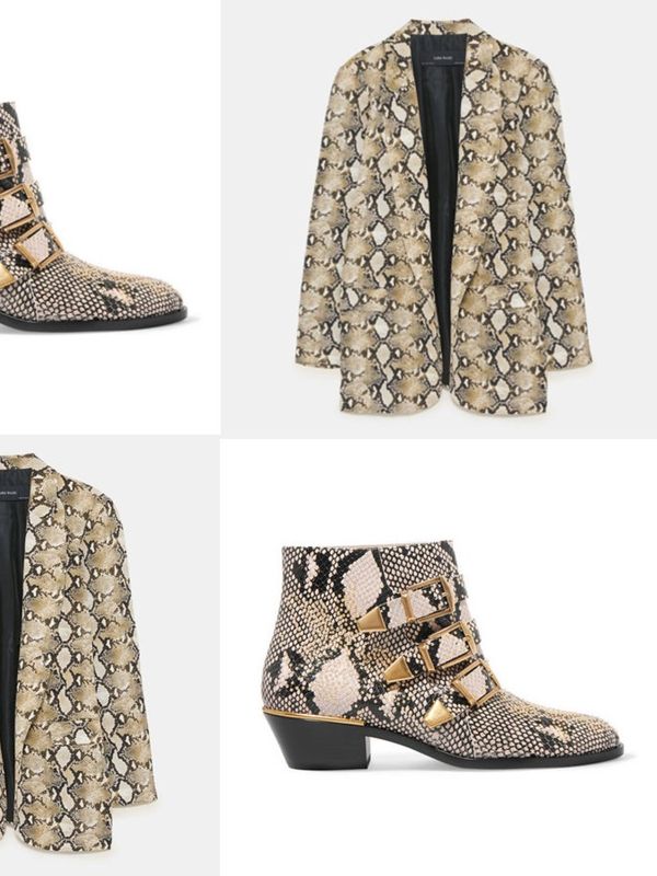 24 Snake Print Pieces To Buy Now