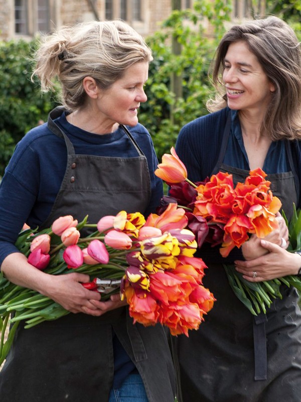 12 Gardening Rules – With The Land Gardeners 