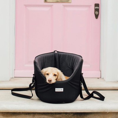 the best dog accessories for a neutral home 