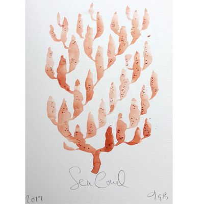 Sea Coral XXXI By Julianna Byrne