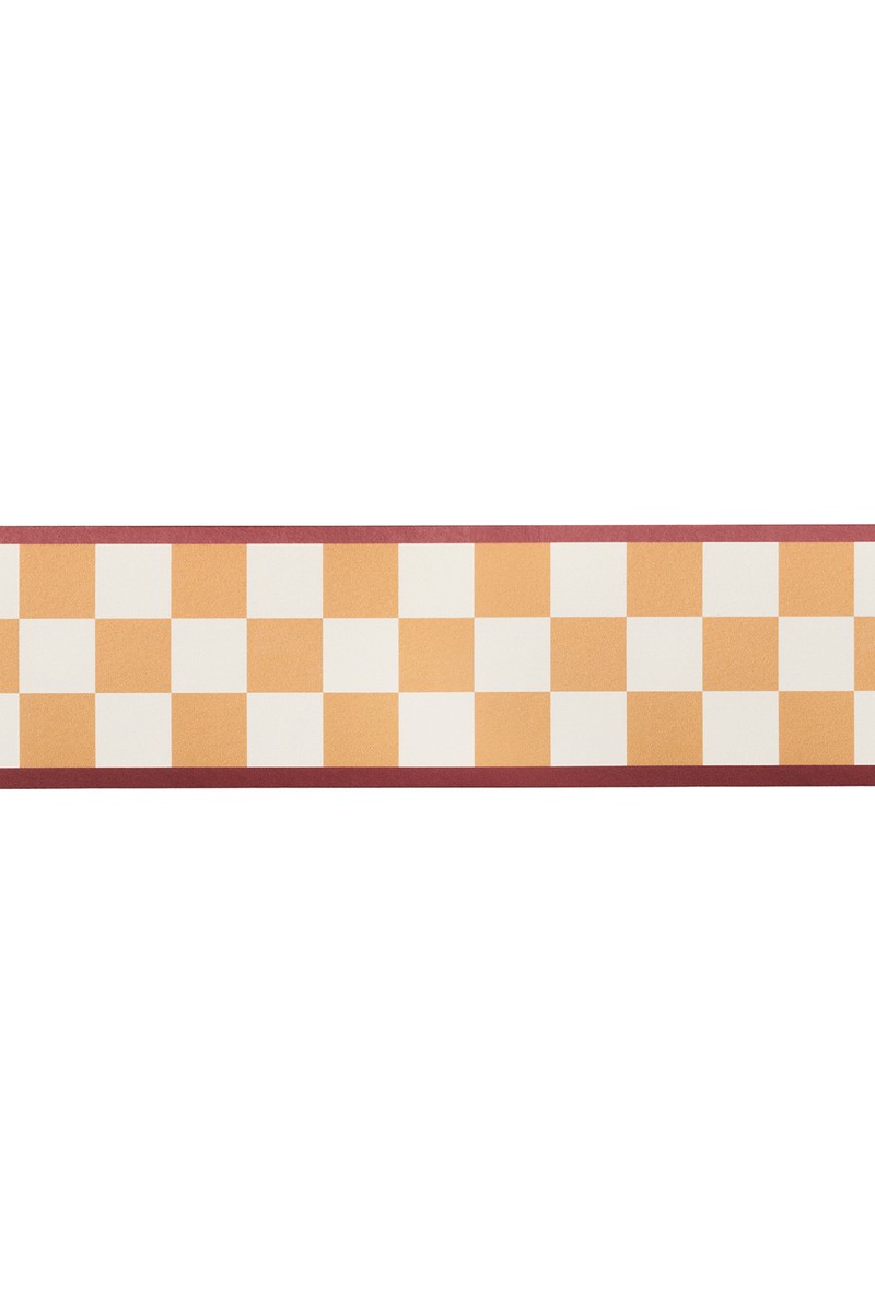 Checked Border from Susie Atkinson