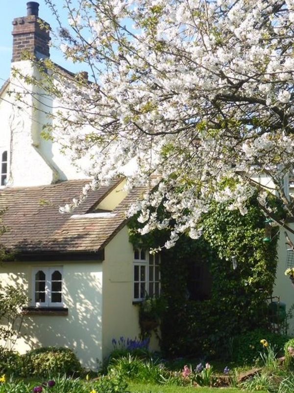 12 Dream Properties For Sale In Essex