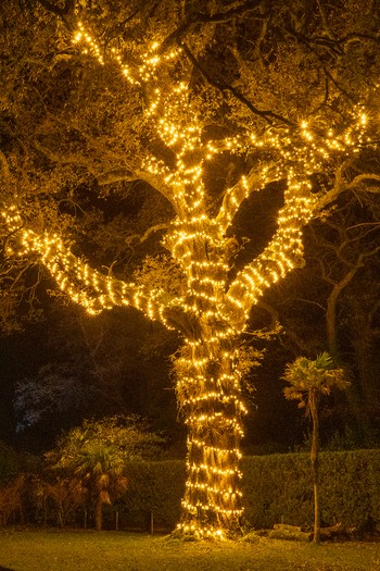 Lost Gardens of Heligan, Cornwall