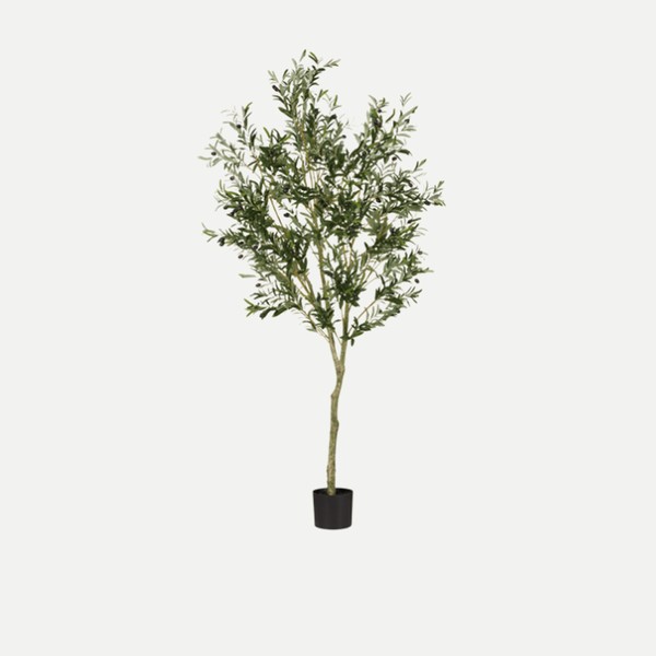 Faux Large Potted Olive Tree from OKA