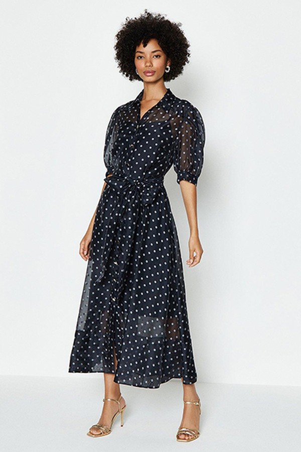 Spot Organza Puff Sleeve Dress