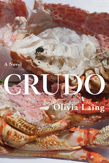 Crudo by Olivia Laing by Olivia Laing