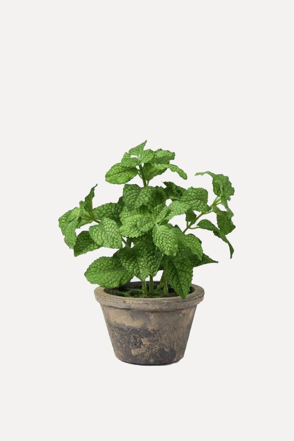 Artificial Mint Plant In Rustic Ceramic Pot from John Lewis