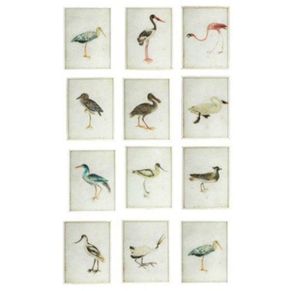 Bird Framed Prints from Oka