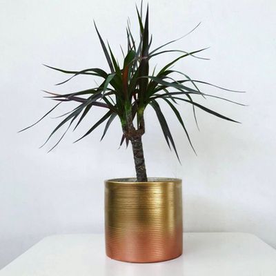 Ribbed Ombre Planter from Moody Mother Designs