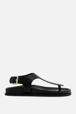 Reema Leather Thong Sandals from A.Emery