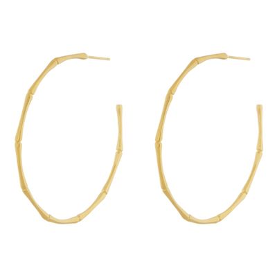 Bamboo Hoop Earrings from Accessorize