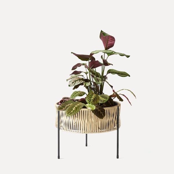 Umanoff Planter from Arthur Umanoff