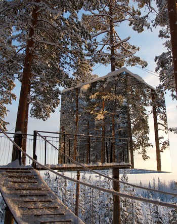 The Mirror Cube at The Treehouse Hotel, Harads