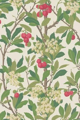Strawberry Tree Wallpaper from Cole & Son