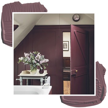 Colour Masterclass: Aubergine