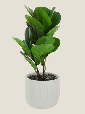Green Artificial Fiddle Leaf Plant, £14