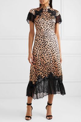 Venyx Ryder Lace-Trimmed Leopard-Print Silk-Satin Midi Dress from Saloni