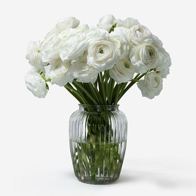 Chiffon Italian Ranunculus from FlowerBx