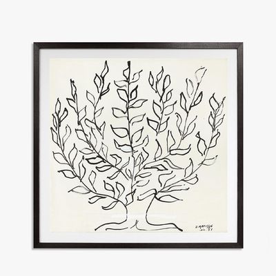 Matisse, The Plain Tree 1951 Framed Print from Love & Found