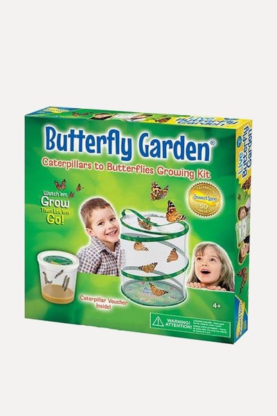 Butterfly Garden from Insect Lore