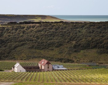 Rathfinny Wine Estate 