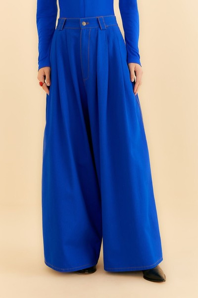 Blue Canvas Maxi Pleated Pants from Farm Rio