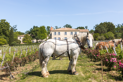 Château Troplong Mondot