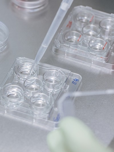 How & Why Nana Decided To Freeze Her Eggs