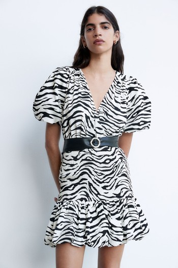 Animal Print Dress from Zara