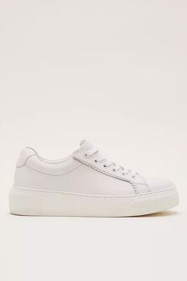 White Leather Trainers from Phase Eight