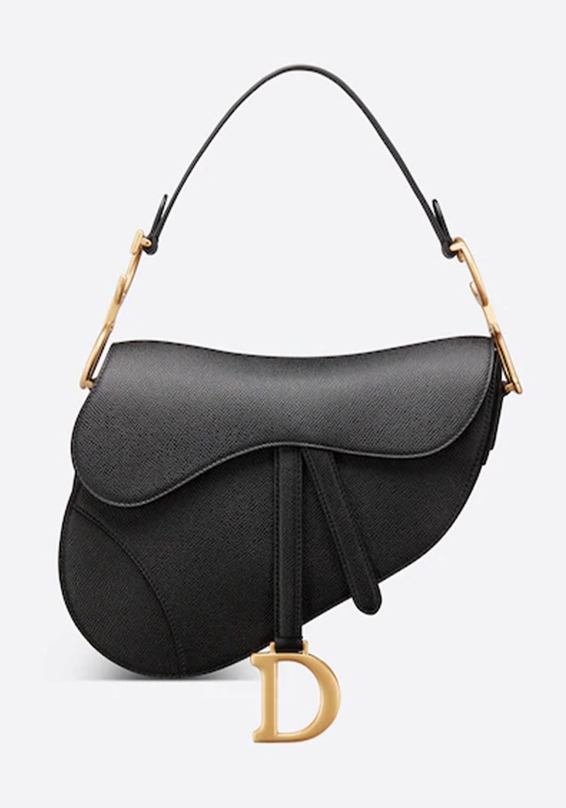 Saddle Bag from Dior