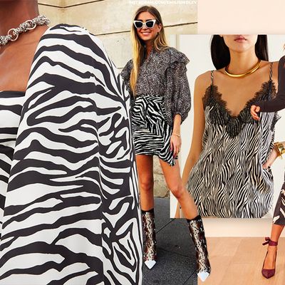 24 Zebra Print Pieces To Buy Now