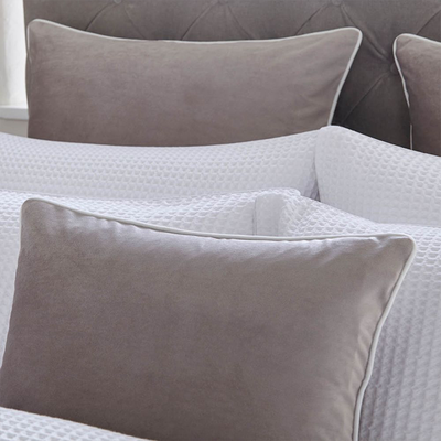 Luxury Velvet Cushion Cover in Light Grey