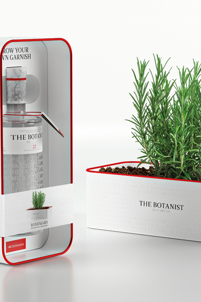 The Botanist Tin Planter from The Botanist