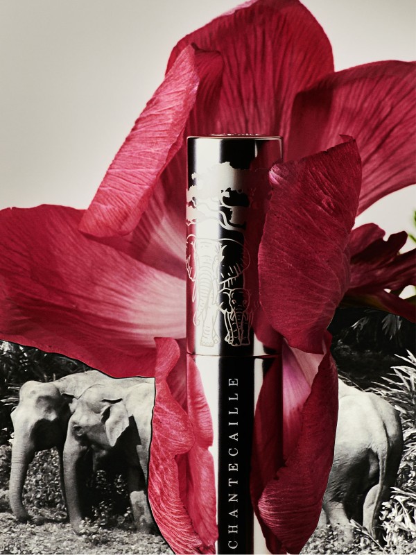 Product Spotlight: Chantecaille Lip Crème