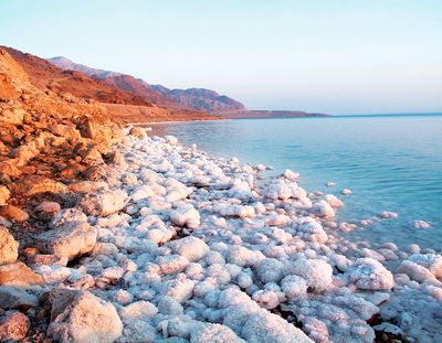 The Dead Sea