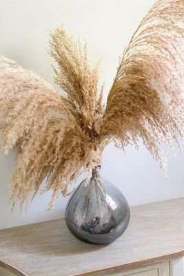 Pampas Grass Bunch from Everlasting Luxe