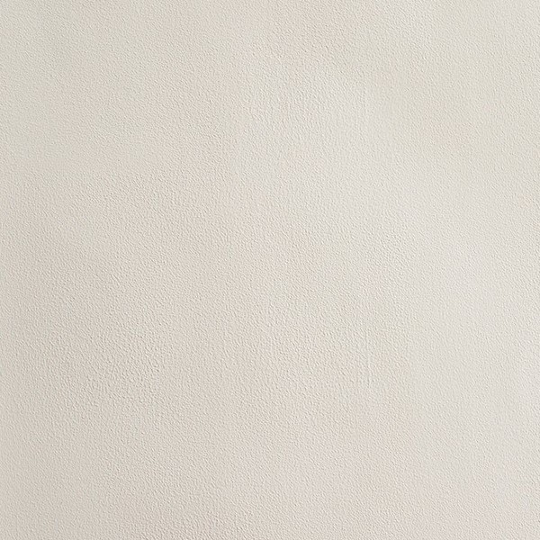 Double Warm White Paint  from Atelier Ellis