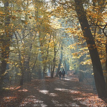 12 Autumn Weekend Walks In The Capital 