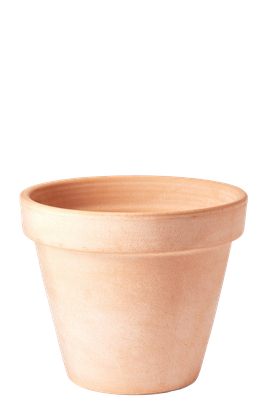 Terracotta Flowerpot from Plant Drop
