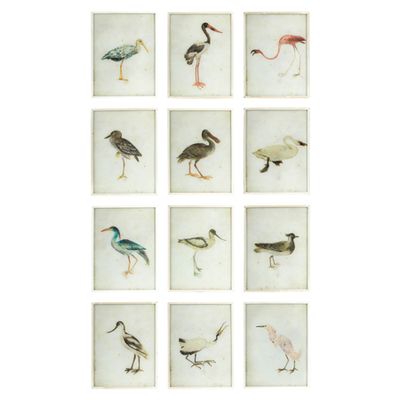 Wading Birds Framed Prints