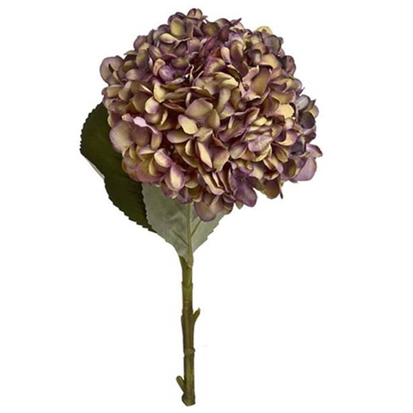 Burgundy Hydrangea from Hill Interiors