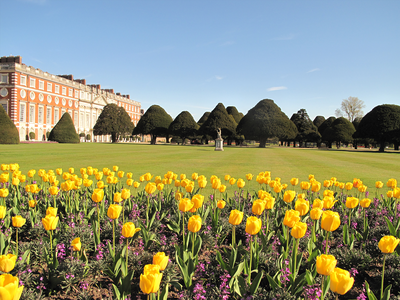 Tulip Festival, Hampton Court Palace
