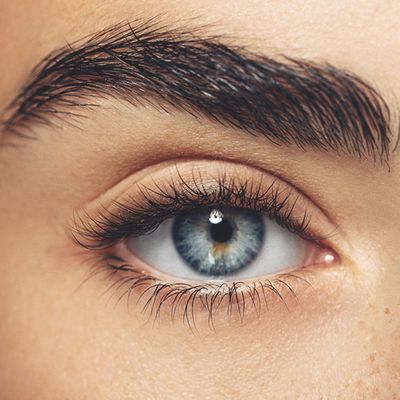 This Is What You Should Be Doing To Your Brows