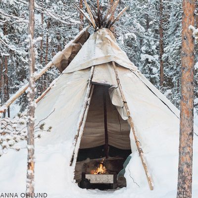 The Best Winter Holidays In Swedish Lapland