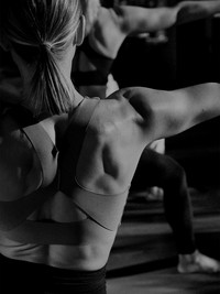 Everything You Need To Know About Building Muscle Mass