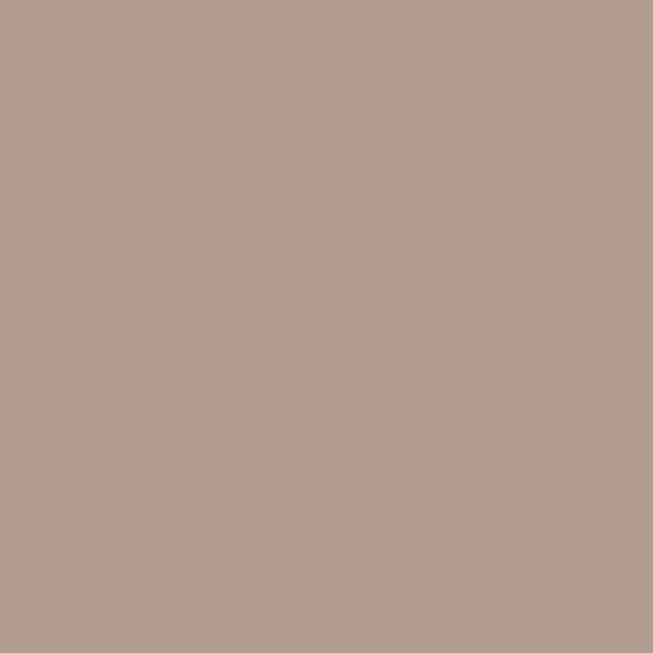 No. 28 Dead Salmon Paint from Farrow & Ball