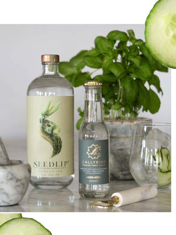 The Zero-Calorie Tonic Water To Drink This Summer