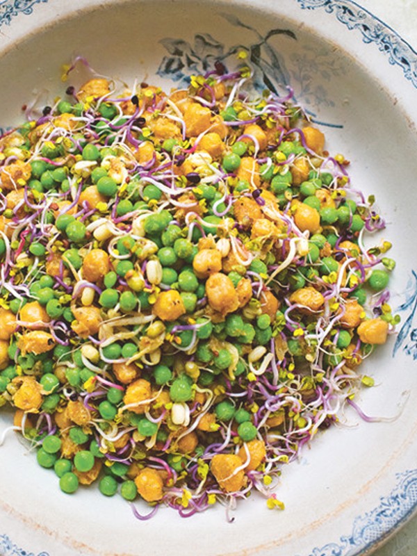 Chickpea, Seeds & Sprouted Seeds